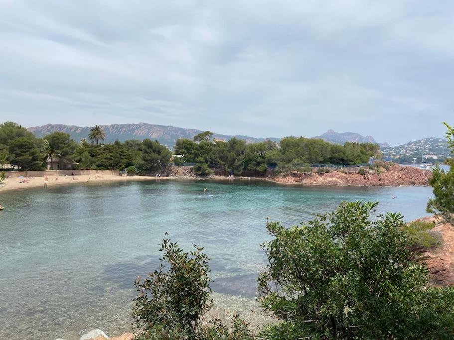 St Raphael 37M2, Piscine, Wifi, Commerces Mer 5Mn A Pieds Saint-Raphaël Extérieur photo