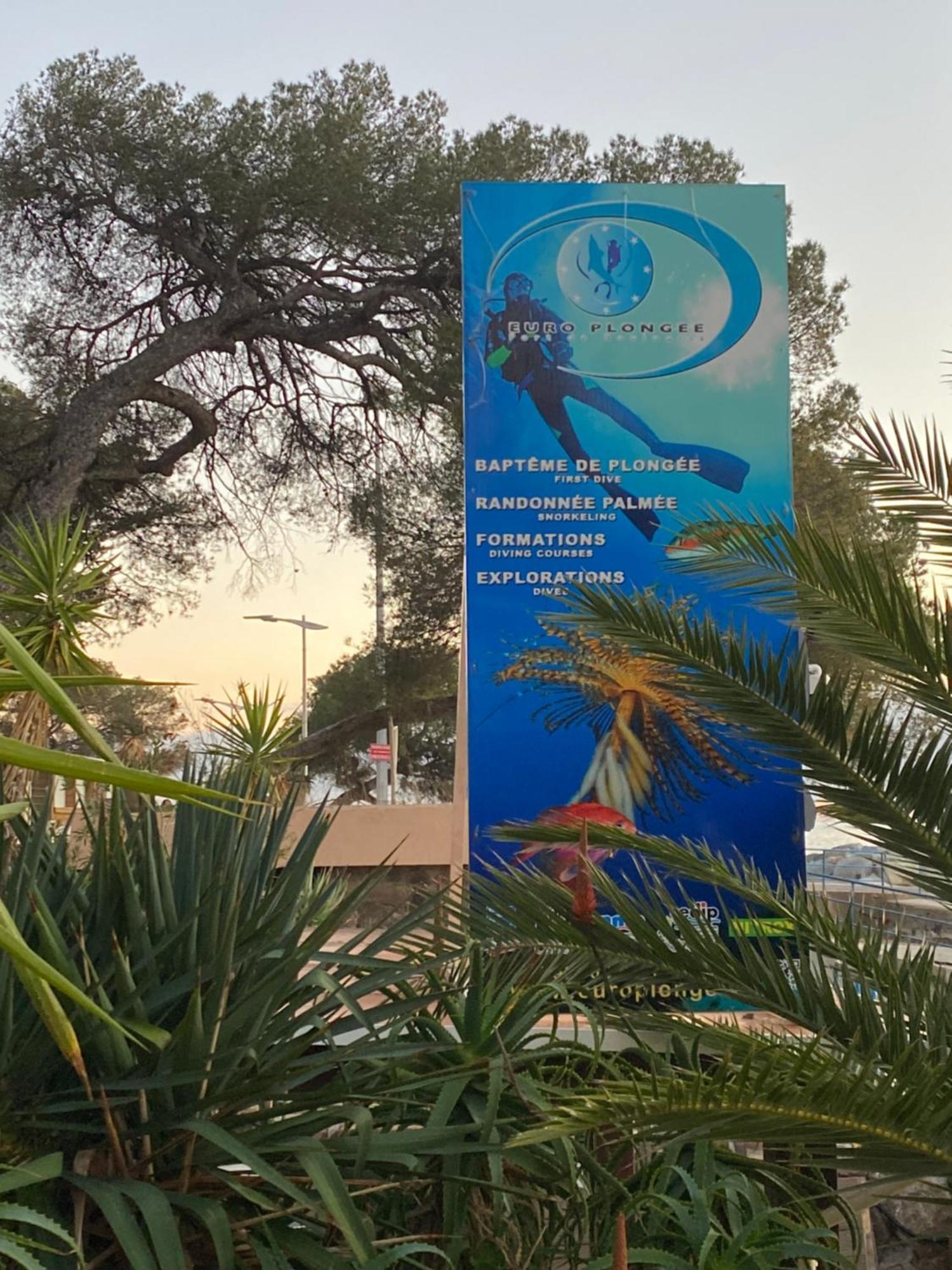 St Raphael 37M2, Piscine, Wifi, Commerces Mer 5Mn A Pieds Saint-Raphaël Extérieur photo